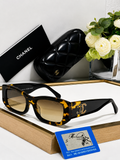 Chnel Glass - Tortoise Narrow Rectangle Amber